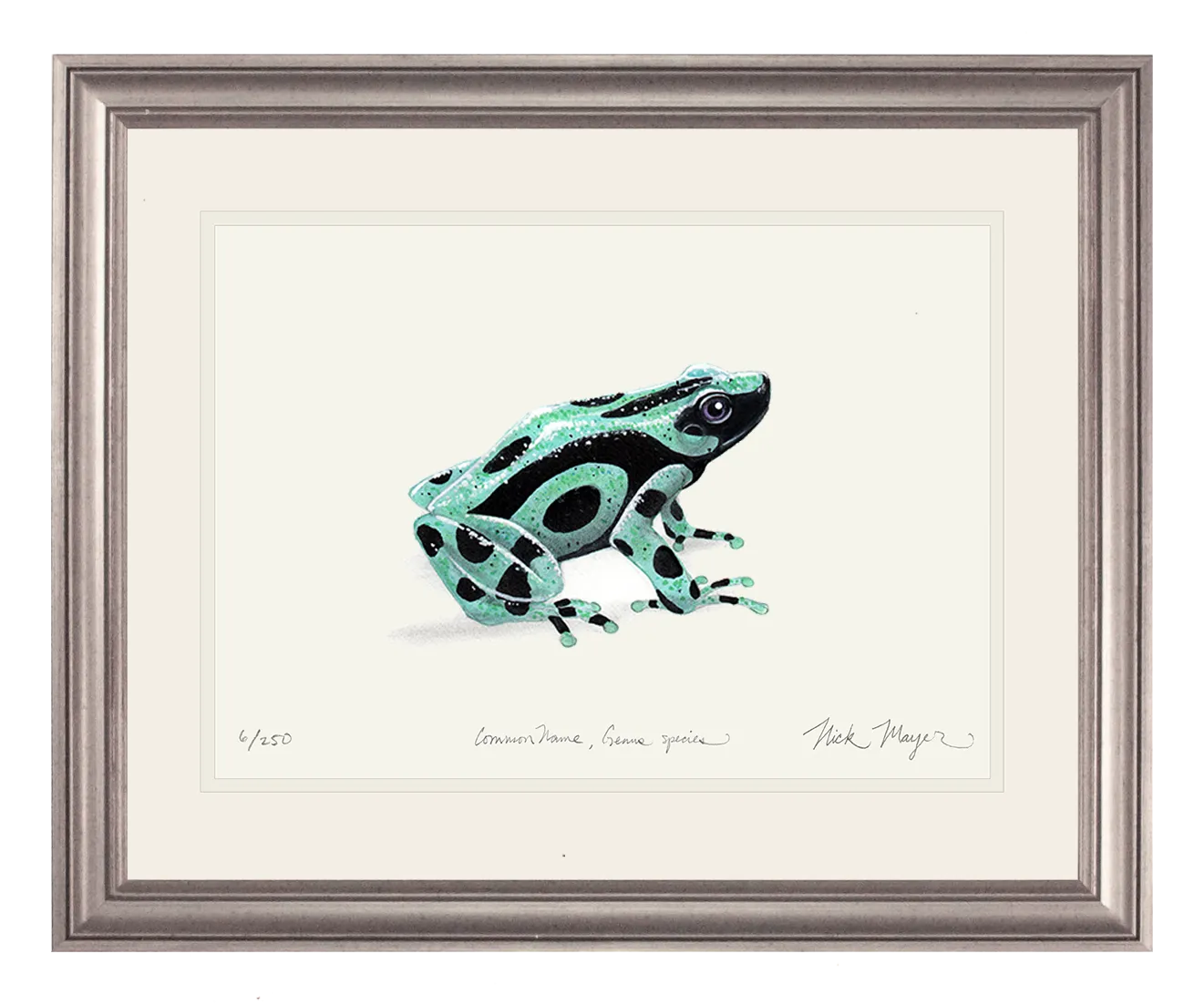 Green and Black Poison Dart Frog Print