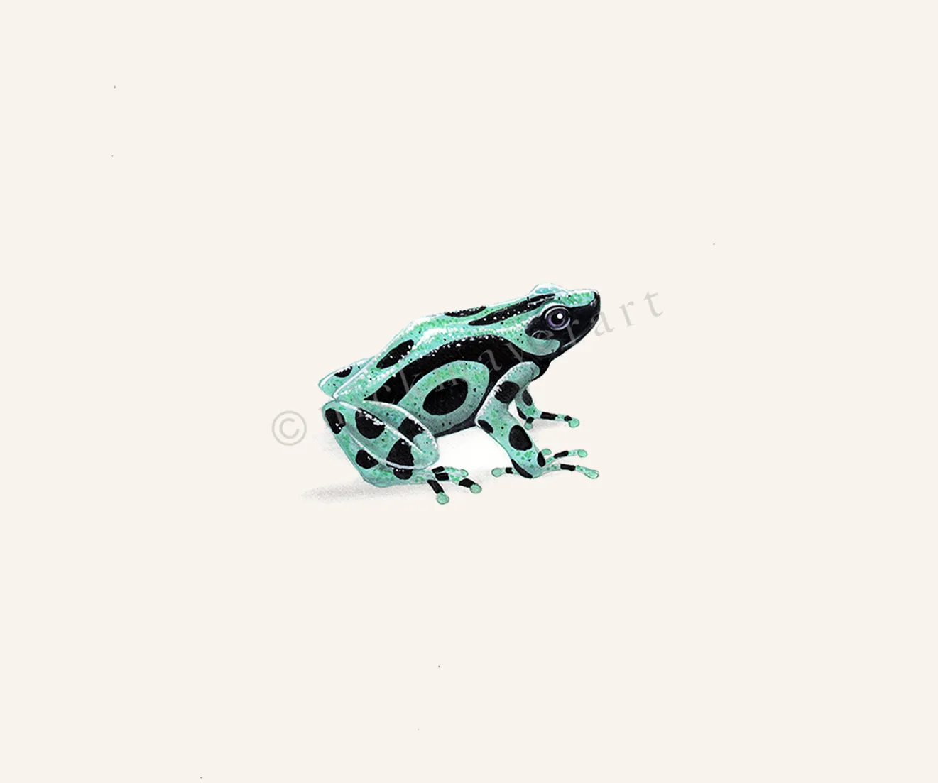 Green and Black Poison Dart Frog Print