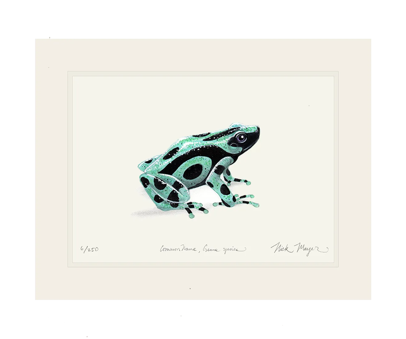 Green and Black Poison Dart Frog Print