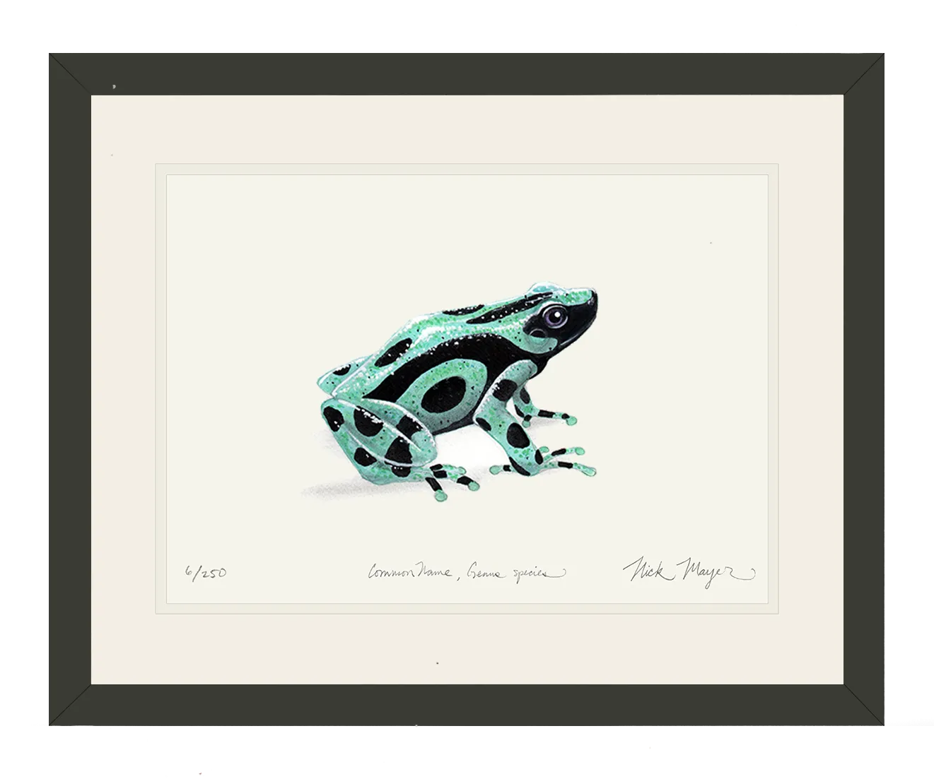 Green and Black Poison Dart Frog Print